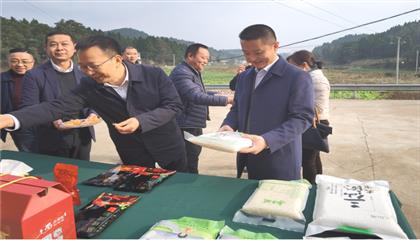 市委常委、政法委書記劉波濤帶隊調(diào)研指導(dǎo)定點幫扶村鄉(xiāng)村振興工作