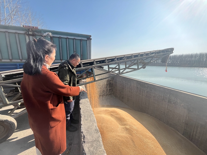 “黨建領(lǐng)航，守護(hù)糧安”淮糧集團(tuán)開展特色品牌黨建活動